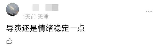 电影圈转型成难题：陈思诚口碑跌，朱一龙票房扑，沈腾也不被看好（组图） - 15