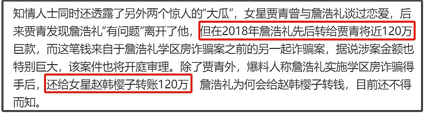 王丽坤老公诈骗案升级！涉及洗钱制片人被抓，剧方该向公众说明（组图） - 19