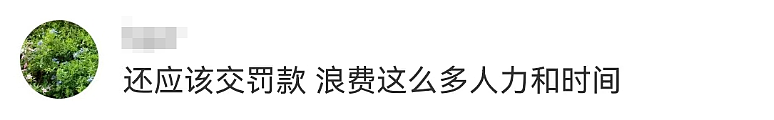 打1400公里顺风车后逃单！警方跨省追回：已行拘！网友：2200元车费坐飞机不好么（组图） - 4