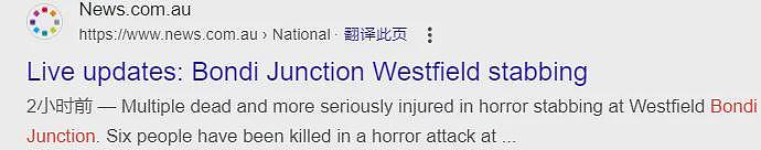 67人死伤​，堪培拉“焚火自燃”，游乐场变“炼狱”！澳洲Westfield又现“砍人狂”“满身血”，专追砍陌生人脑袋！（组图） - 25