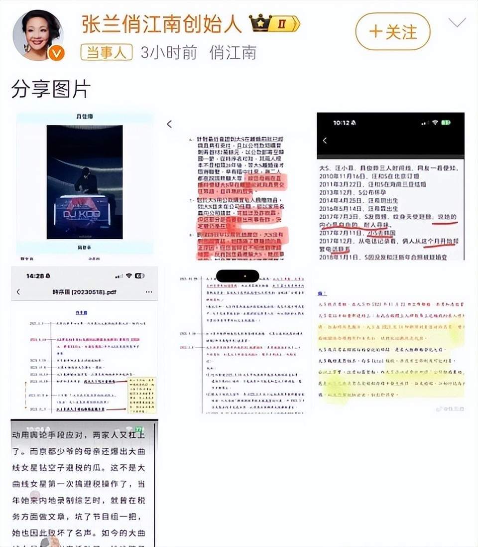 拿word当证据，张兰晒出大S出轨“铁证”，网友失望而退：这也叫证据？（组图） - 1