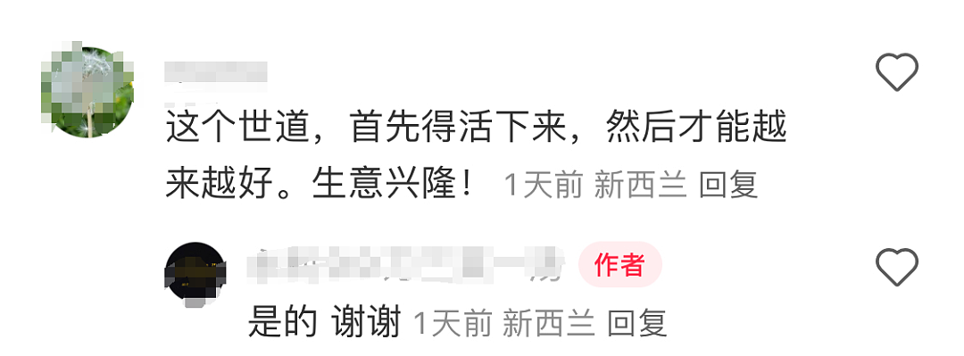 拼了！奥克兰中餐馆“9.9刀套餐大乱战”，先活下来再说！有人却说“不卷不是中国人”…（组图） - 13