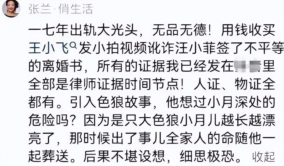 拿word当证据，张兰晒出大S出轨“铁证”，网友失望而退：这也叫证据？（组图） - 3