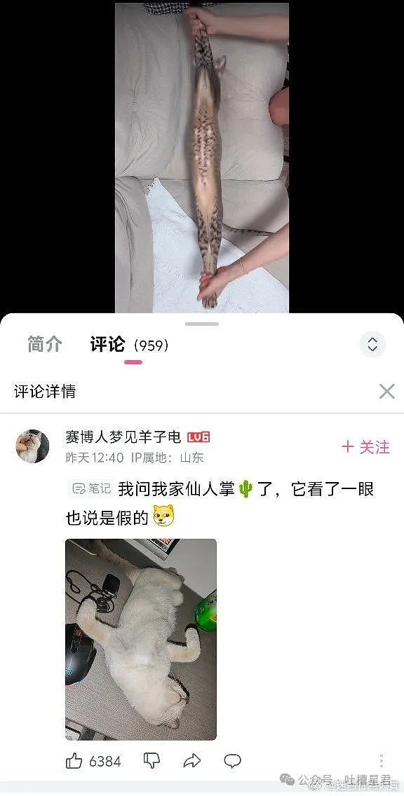 【爆笑】把浴巾当裙子穿？看到图片后…网友：原来是巴黎世家，那就不奇怪了（视频/组图） - 32