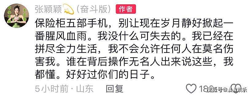 张颖颖再次喊话汪小菲：5部手机锁在保险柜里，足以掀起血雨腥风（组图） - 10