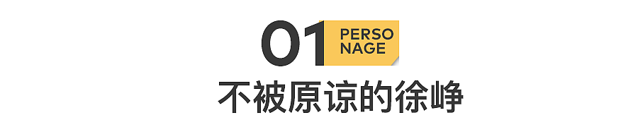 徐峥：钱赚够了，名声几乎没有（组图） - 3