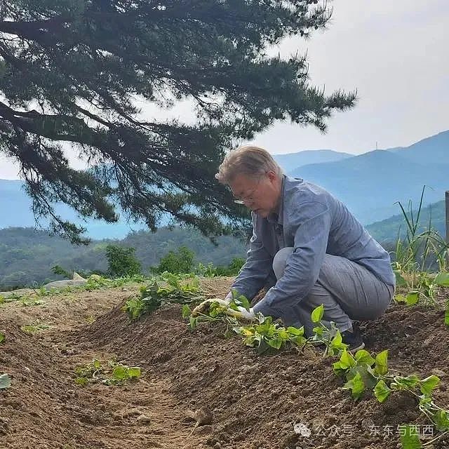 总统被一对坑爹儿女吃干抹净，退休后默默下田种菜，依然逃不过魔咒？（组图） - 16