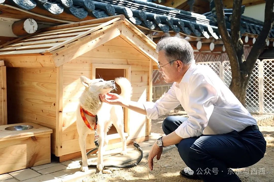 总统被一对坑爹儿女吃干抹净，退休后默默下田种菜，依然逃不过魔咒？（组图） - 41