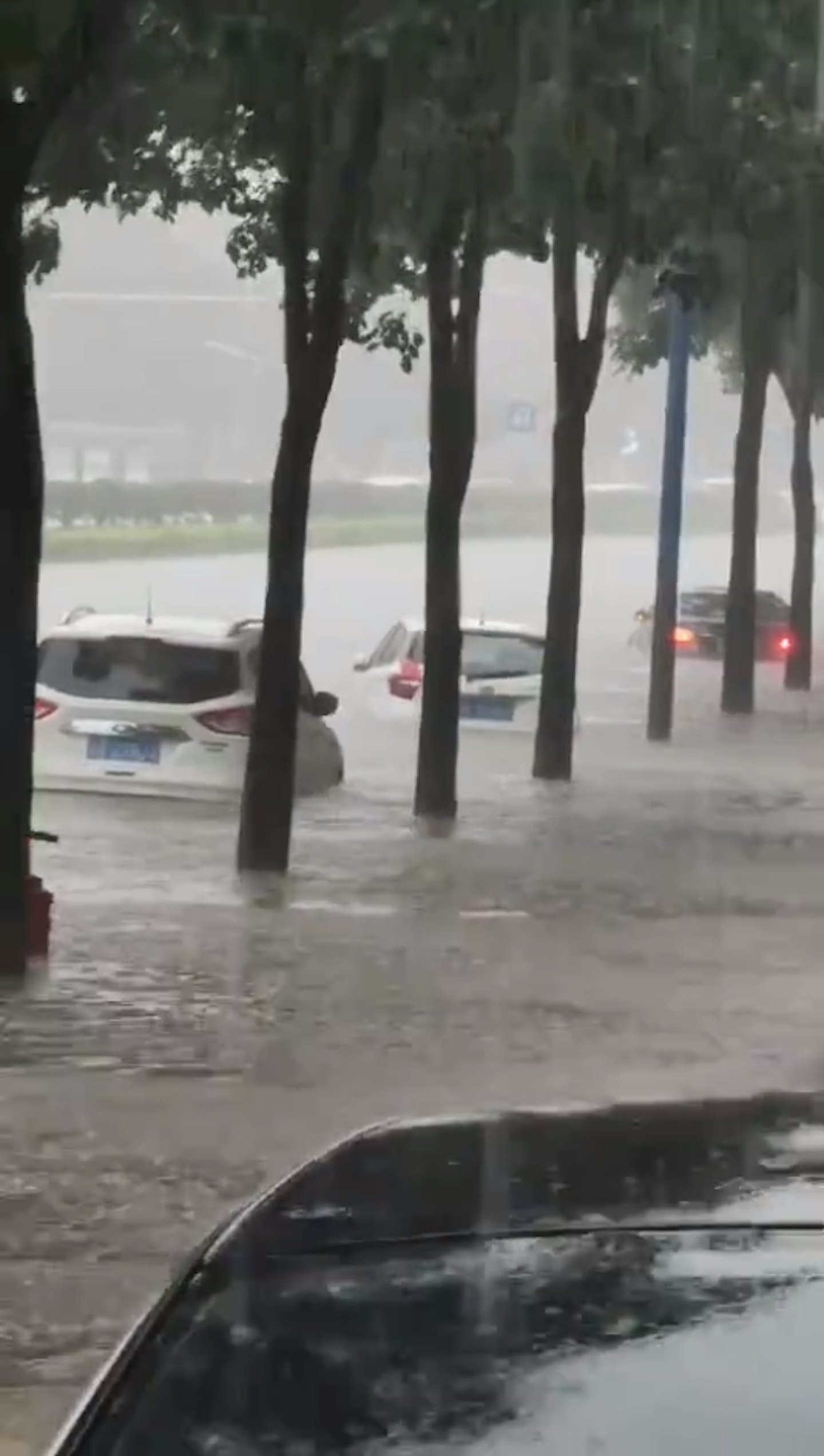 广州暴雨市区多处水浸！市民大喊：“汪洋咁啊”，有人疑因触电倒地 （组图） - 7