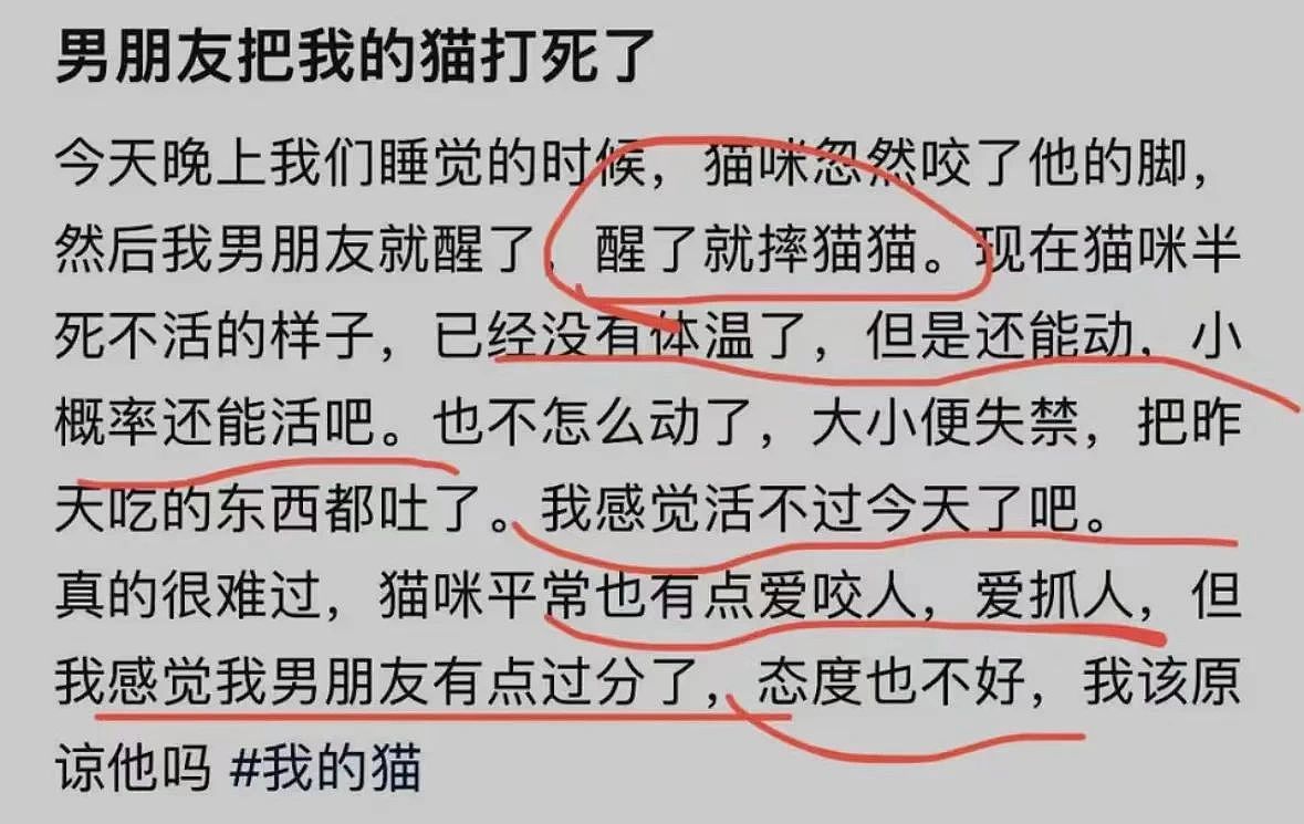 和“超雄”男友同居的可怕经历：女孩自述交往细节和个人身世给我看崩溃了（组图） - 7