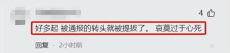 河南“赋红码”被处分女干部复出升职！官方回应，网友扒出新情况（组图） - 10