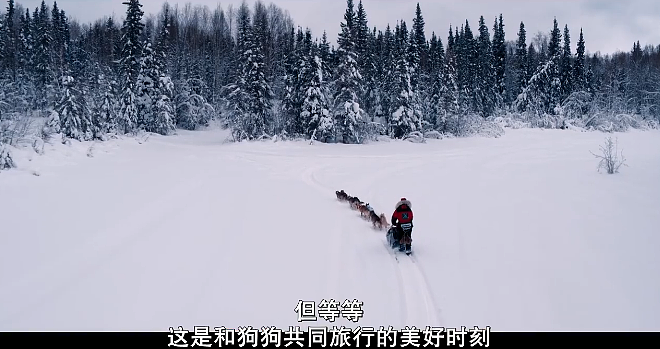 豆瓣9.0！被打倒、被歧视，焦虑到想自杀！那些没夺冠的运动员，后来都怎样了？（组图） - 39