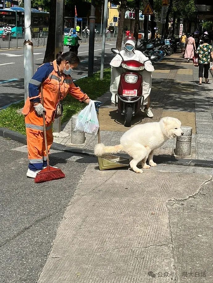 【爆笑】“云南人吃菌中毒后有多离谱？”哈哈哈哈哈求你清醒点啊（组图） - 54