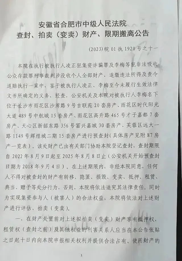 合肥女子李梅在长沙坐拥87套房，因涉罪被查封，正式被法院挂网待拍卖（组图） - 4