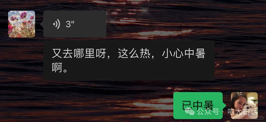 【爆笑】“网友在外旅游被老外挑衅后……”哈哈哈哈哈太tm解气了（组图） - 87