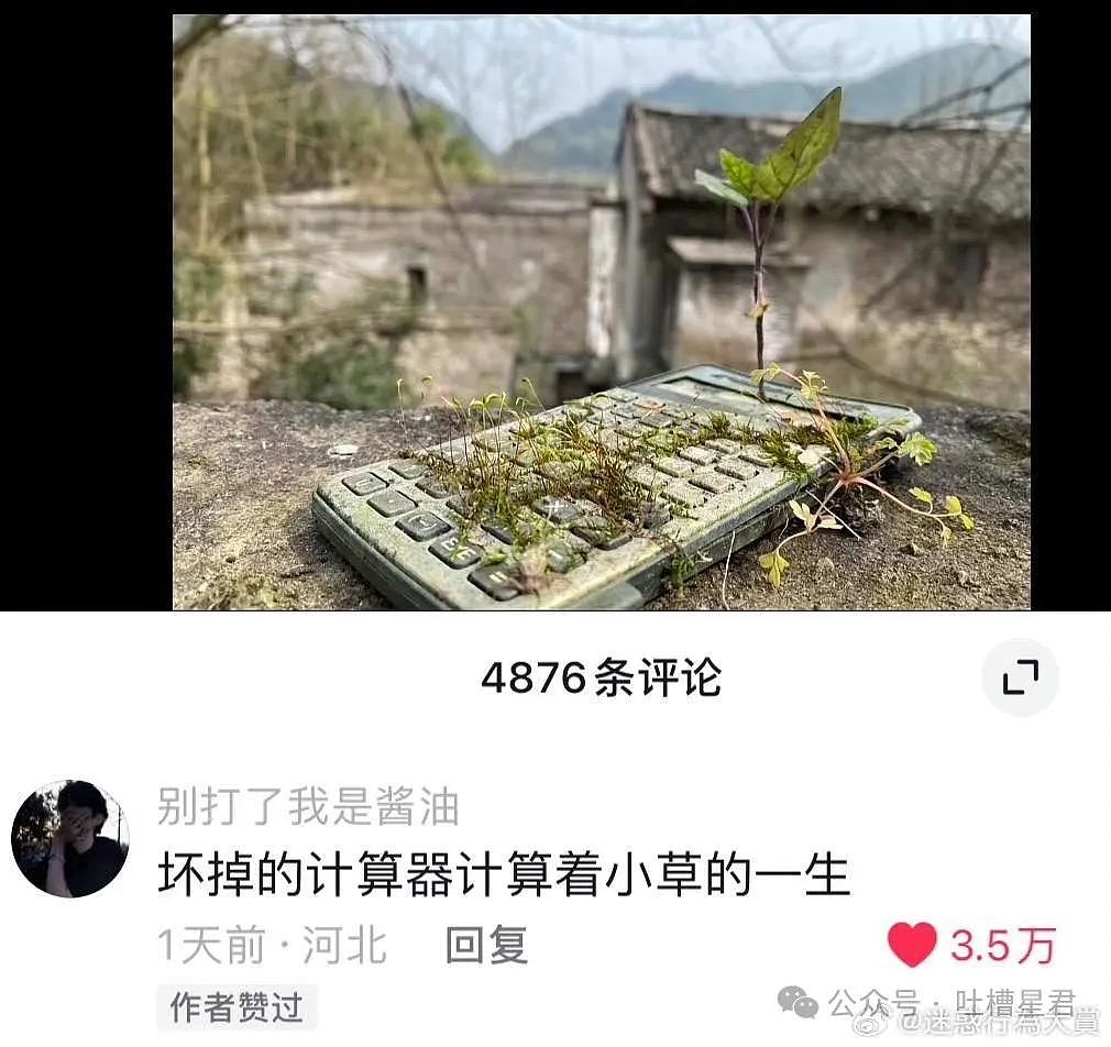 【爆笑】“总感觉老公的私生女和我在逢场作戏？！”网友夺笋：养不熟的，送来给我看看（组图） - 64