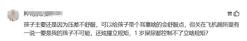 网友吵翻！1岁幼童被两名陌生人关飞机厕所“立规矩”，吉祥航空通报（视频/组图） - 5