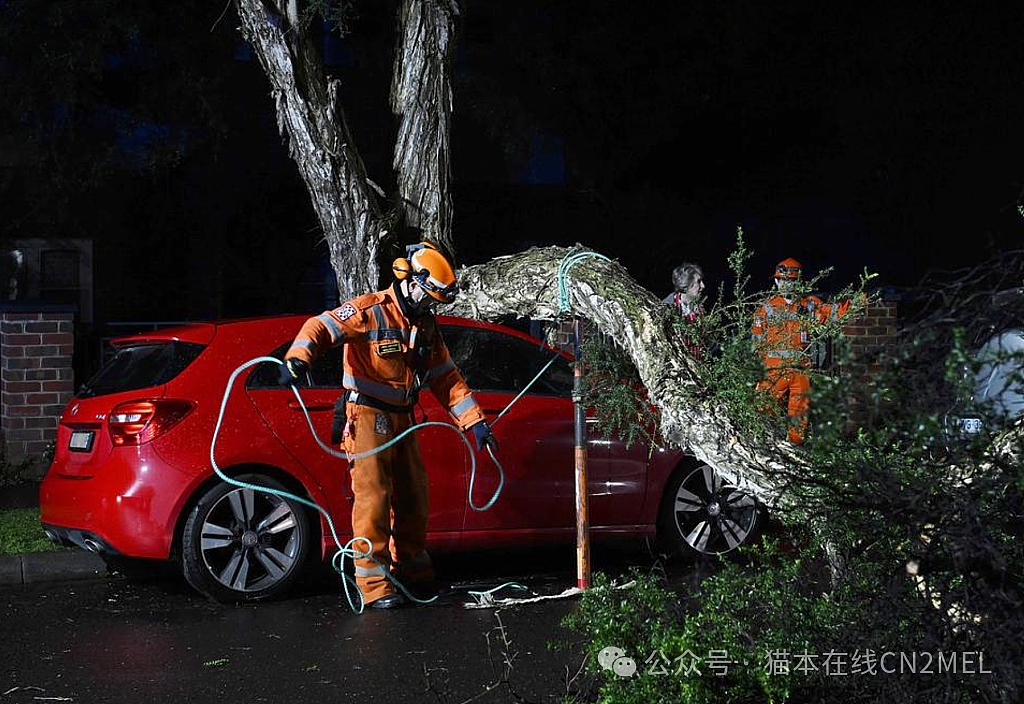 墨尔本明天再迎强风暴雨，未来几天气温将异常升高（组图） - 2