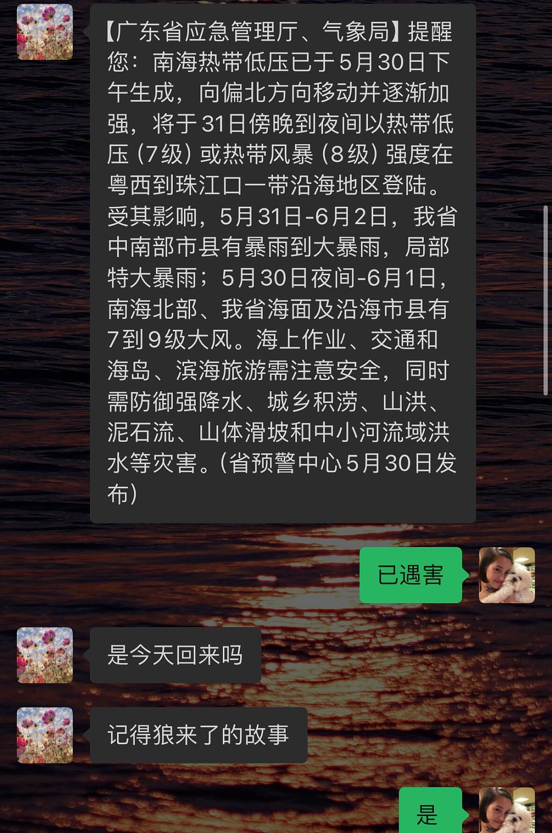 【爆笑】王思聪准备买钻戒求婚了？一开始：这是假消息！看到最后：他不会来真的了吧...（组图） - 23