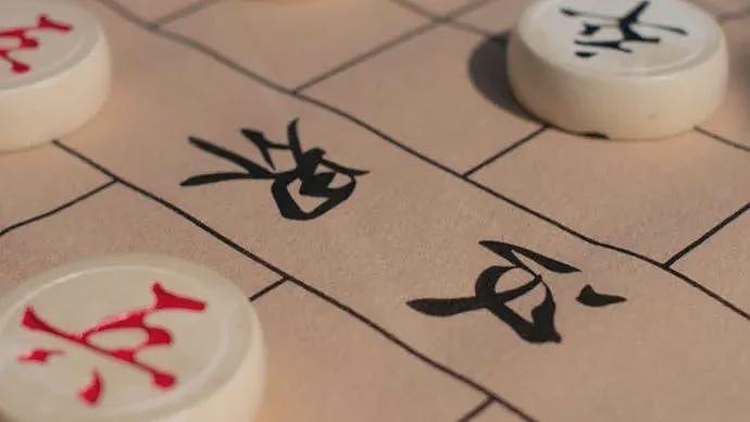 王天一如何从“中国象棋第一人”沦为阶下囚？（组图） - 7