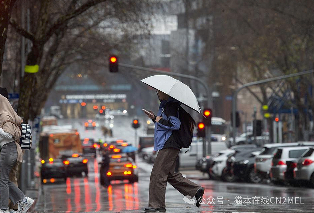 墨尔本明天再迎强风暴雨，未来几天气温将异常升高（组图） - 1