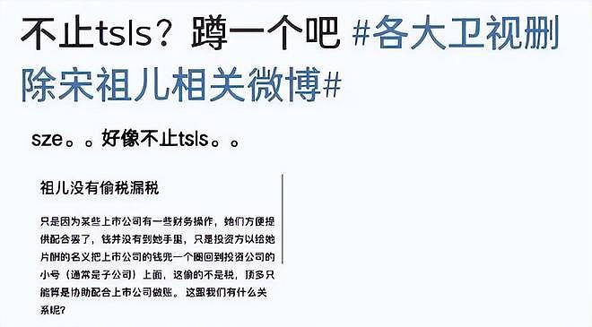 宋祖儿偷逃税被坐实，剧方已经准备换脸！举报人身份被扒直言宋祖儿恶毒，还有大瓜要放（组图） - 16