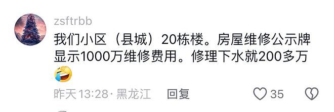 中国四亿房奴瑟瑟发抖：一边还房贷，一边要给房子交养老金？更扎心的真相是…（组图） - 10