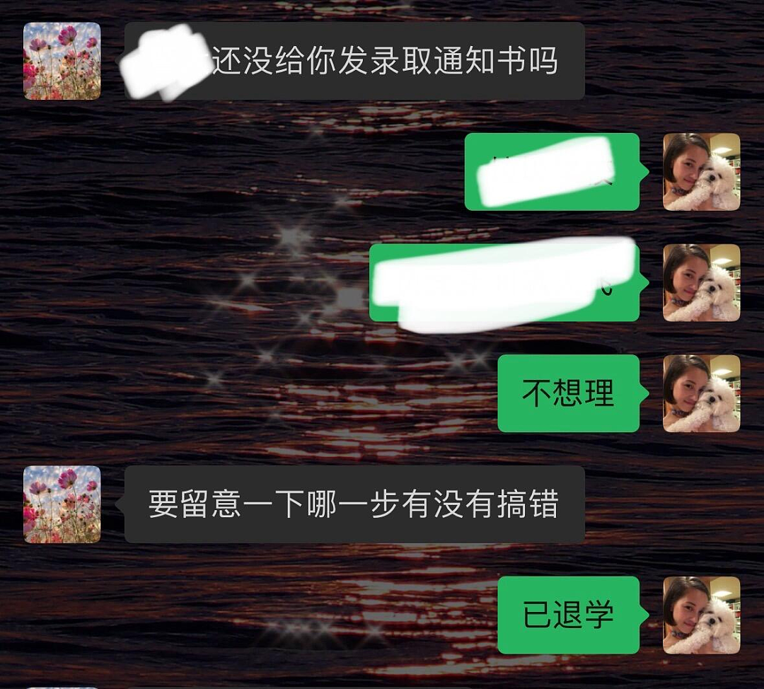 【爆笑】王思聪准备买钻戒求婚了？一开始：这是假消息！看到最后：他不会来真的了吧...（组图） - 27