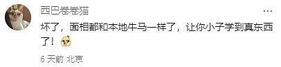 “太累了我！“外国小哥在中国工作两年颜值暴跌！对比照笑喷网友：班味很浓...（组图） - 26