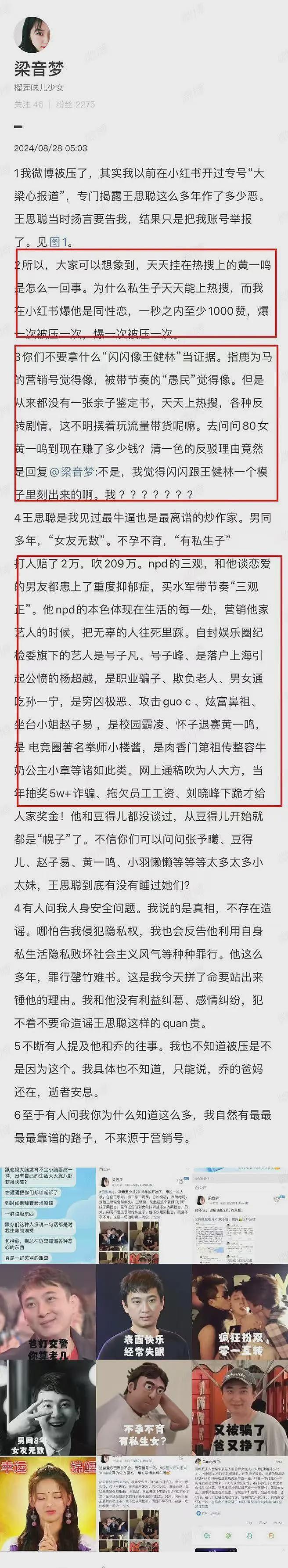 有点离谱！王思聪被曝和旗下艺人黄一鸣联手炒作，闪闪根本不是他的私生女（组图） - 2