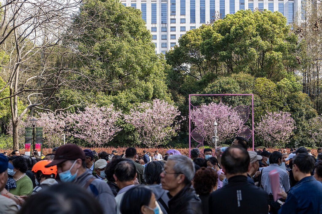 沪式“黄昏恋”：在人民公园和宜家餐厅寻找爱情（组图） - 1