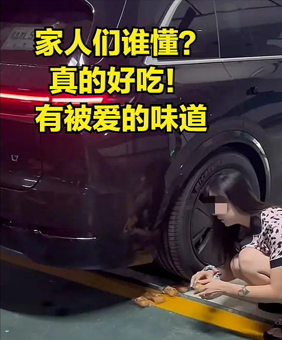 风靡全网的“小娇妻与面包”到底是什么鬼？女生表情+配图给我恶心坏了（组图） - 2