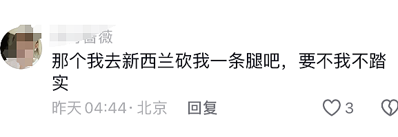 新西兰IP+中国X光片+澳洲警察！华人自称在新西兰骨折被赔572万，引发同胞想去碰瓷！视频细节翻车…（组图） - 10