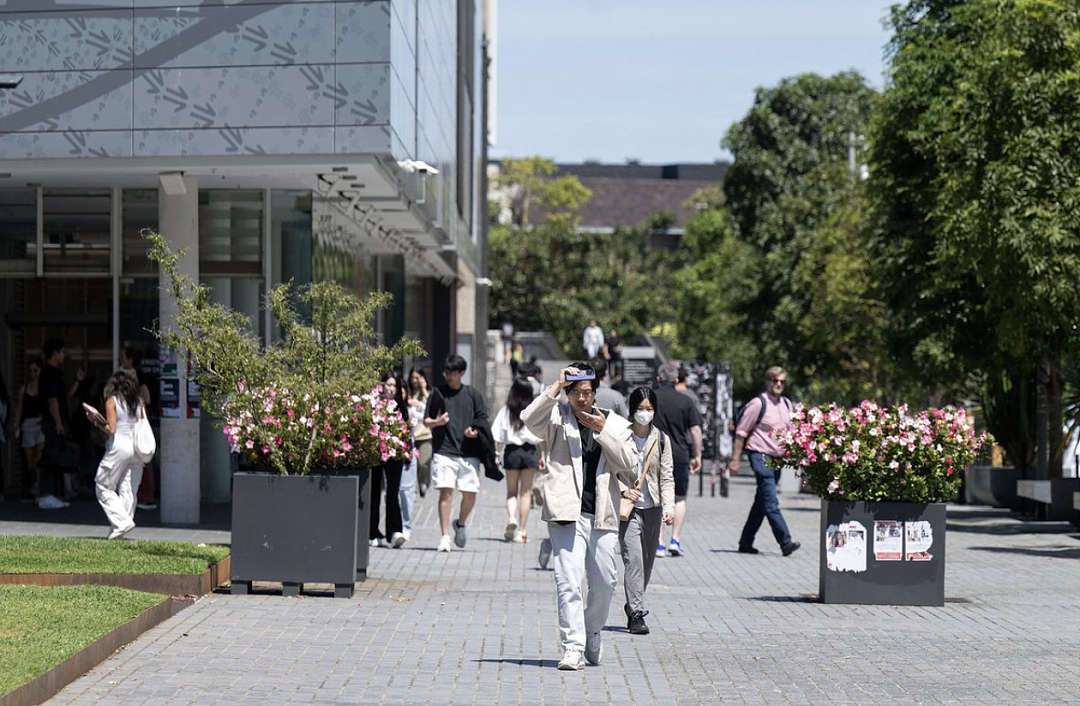 澳洲教育部长宣布2025年留学生人数上限27万，大学招生人数将下降！（组图） - 14