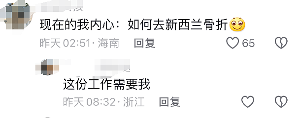 新西兰IP+中国X光片+澳洲警察！华人自称在新西兰骨折被赔572万，引发同胞想去碰瓷！视频细节翻车…（组图） - 9