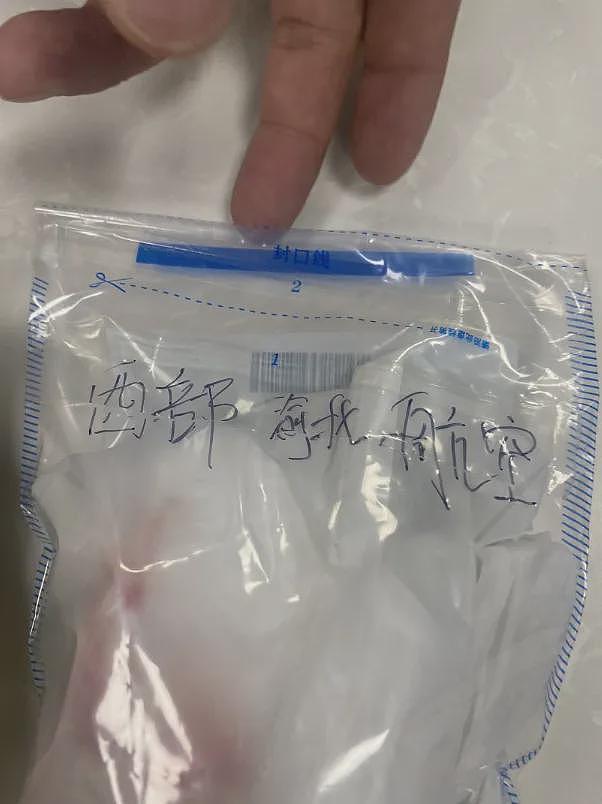 女子乘飞机在置物袋发现带血的湿巾，鉴定确认有人血成分？查清楚了（组图） - 4