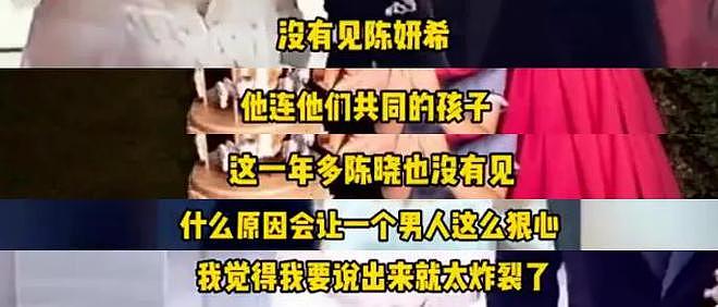 卓伟曝陈晓婚变原因炸裂，孩子遭恶意猜测，网友痛批男方没责任感（组图） - 9