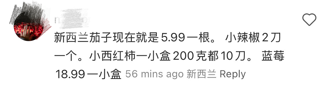 爆火！墨尔本两根黄瓜7刀！中外网友都惊了：这莫不是疯了（组图） - 13