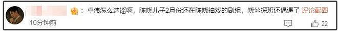 卓伟曝陈晓婚变原因炸裂，孩子遭恶意猜测，网友痛批男方没责任感（组图） - 17