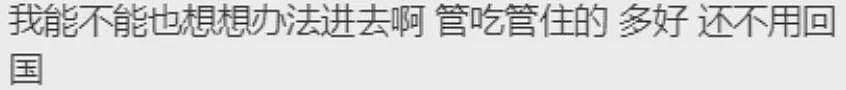 7个中国人，引爆全球热议！重判入狱25年！多人为留学生！澳洲华人也被盯上...（组图） - 13