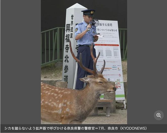 中国游客因“踢”鹿被日本人狂骂，一直笑着说sorry！日本网友却这样说...（组图） - 24