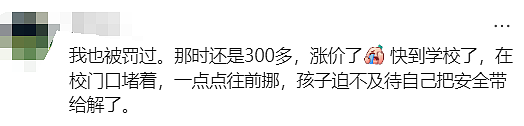 罚$410，扣3分！澳华女带娃出门，一不注意就收罚单（组图） - 18