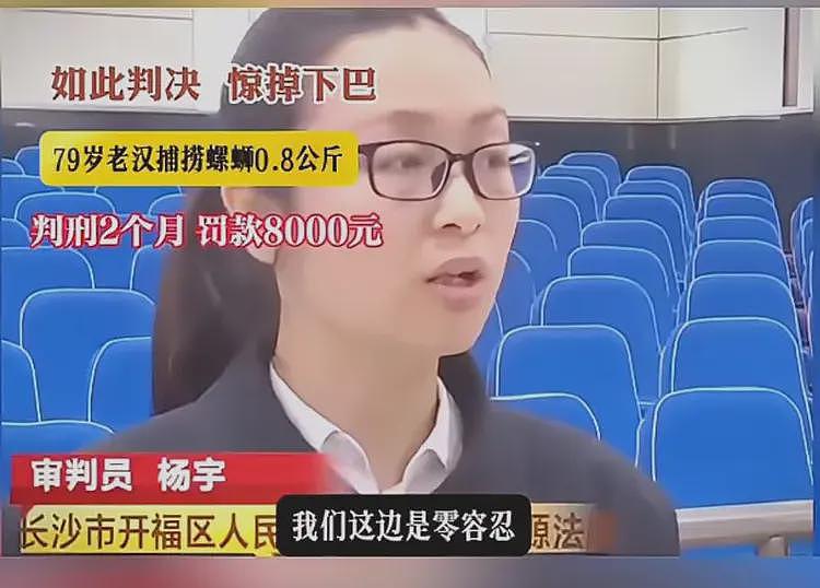 79岁老汉捉0.8公斤螺蛳被判刑，主办法官：零容忍（组图） - 5