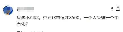 受贿9000亿？中国石油原董事长王宜林被捕，评论区炸裂（组图） - 11