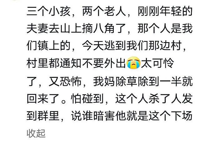 广西53岁男子行凶致5死1伤！专挑老人小孩下手，村民曝案发细节（组图） - 12