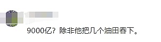 受贿9000亿？中国石油原董事长王宜林被捕，评论区炸裂（组图） - 9