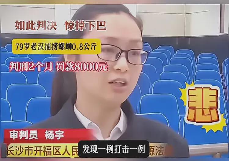 79岁老汉捉0.8公斤螺蛳被判刑，主办法官：零容忍（组图） - 6