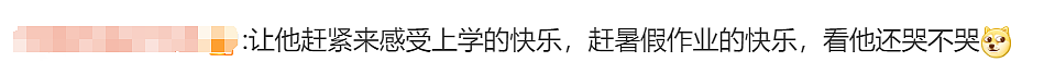 7岁华人男孩夜夜崩溃大哭，每天吵着要回中国！评论区有人说出扎心真相（组图） - 32