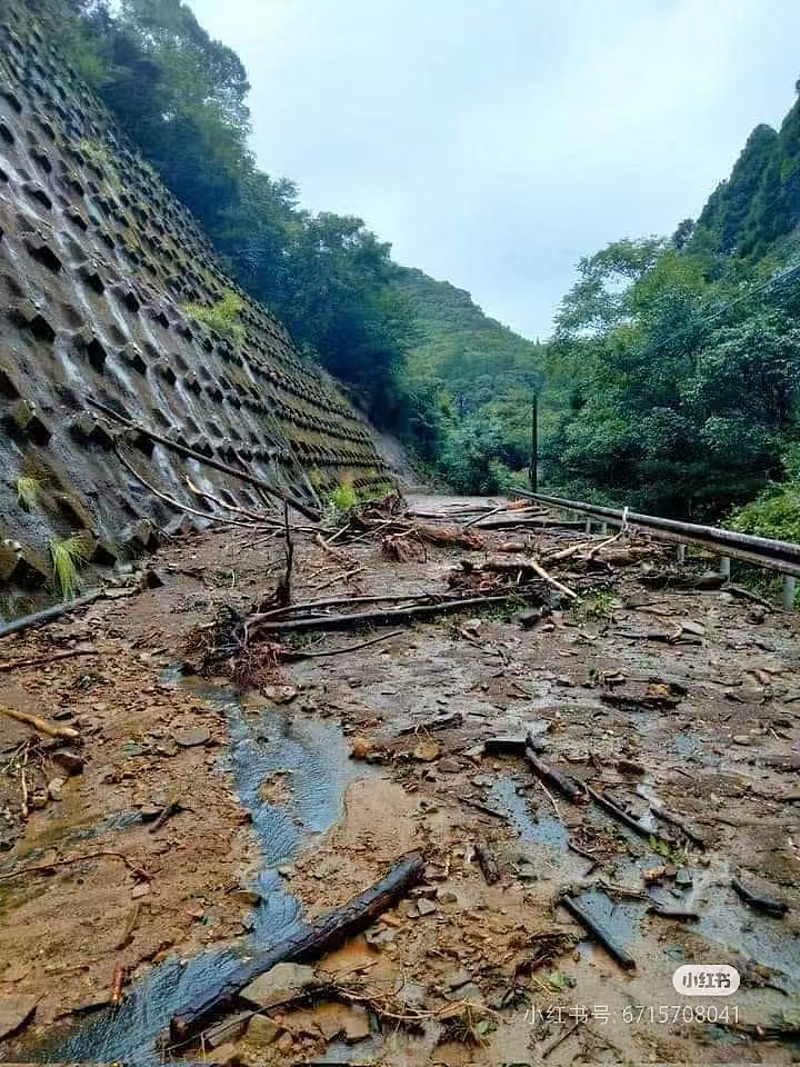 台风珊珊已致日本6死128伤！交通瘫痪水漫金山！上海今年高温日数将超过50...（组图） - 33