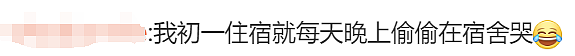 7岁华人男孩夜夜崩溃大哭，每天吵着要回中国！评论区有人说出扎心真相（组图） - 15